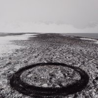 My Polar Pride - Working Environment